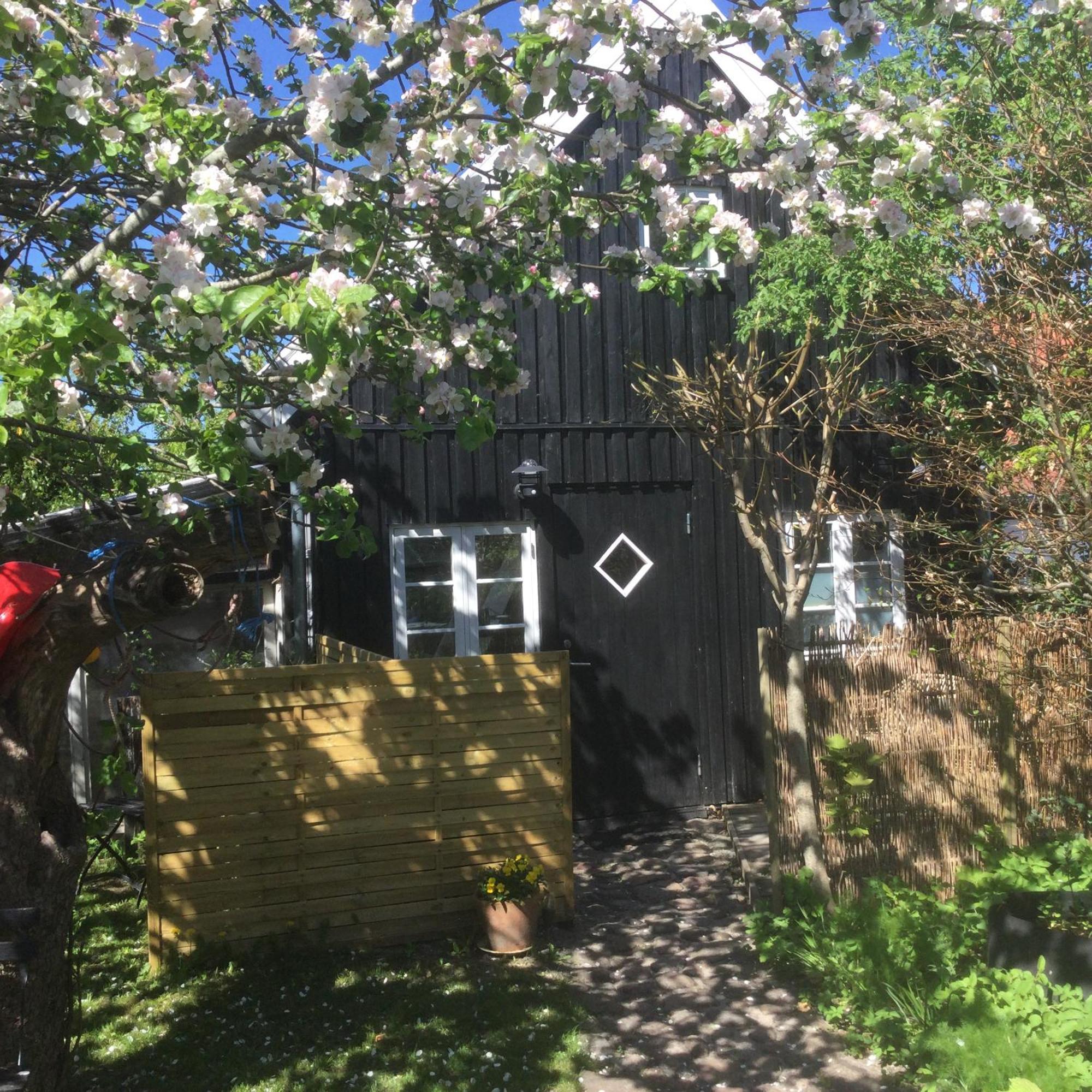 4 Louisenlund Villa Скандерборг Екстериор снимка